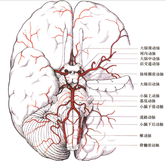后部可逆性脑病综合征